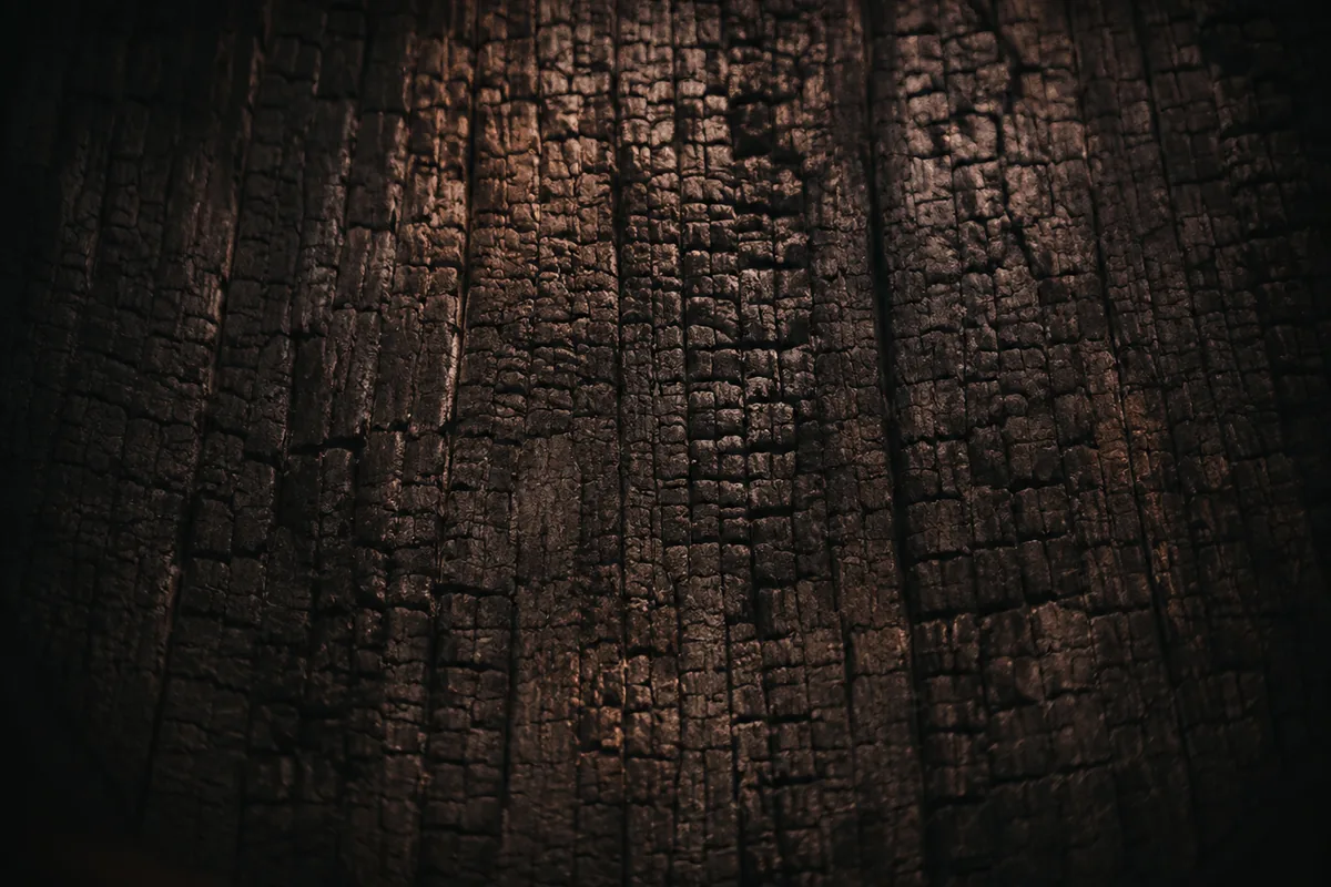 The dark charred inner surface of barrel staves filling the frame, the char cracked into a fine alligator pattern, lit dimly from above.