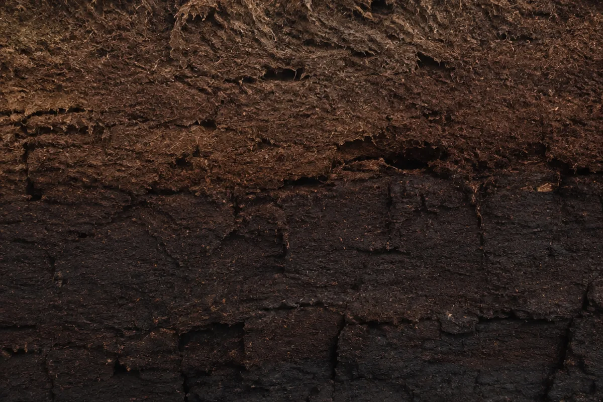 A vertical cut face of peat showing fibrous plant-rich upper layers above darker compact lower peat.