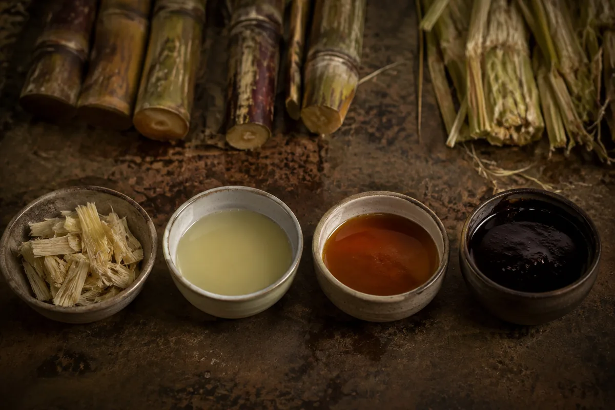 Cut sugar cane beside glasses of pale fresh juice, amber cane syrup, and near-black molasses arranged by concentration.