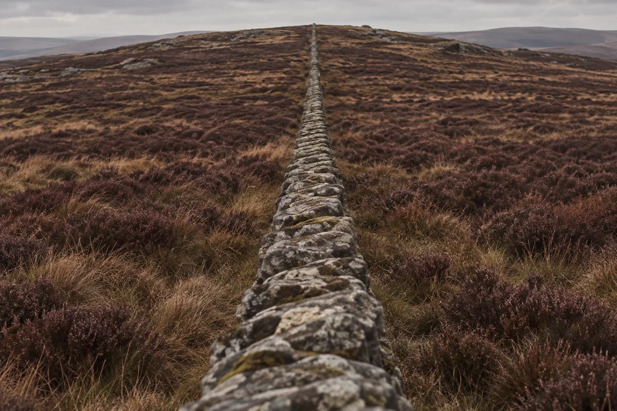 A dry stone wall running straight across open upland moorland with identical heather and rough grass on both sides